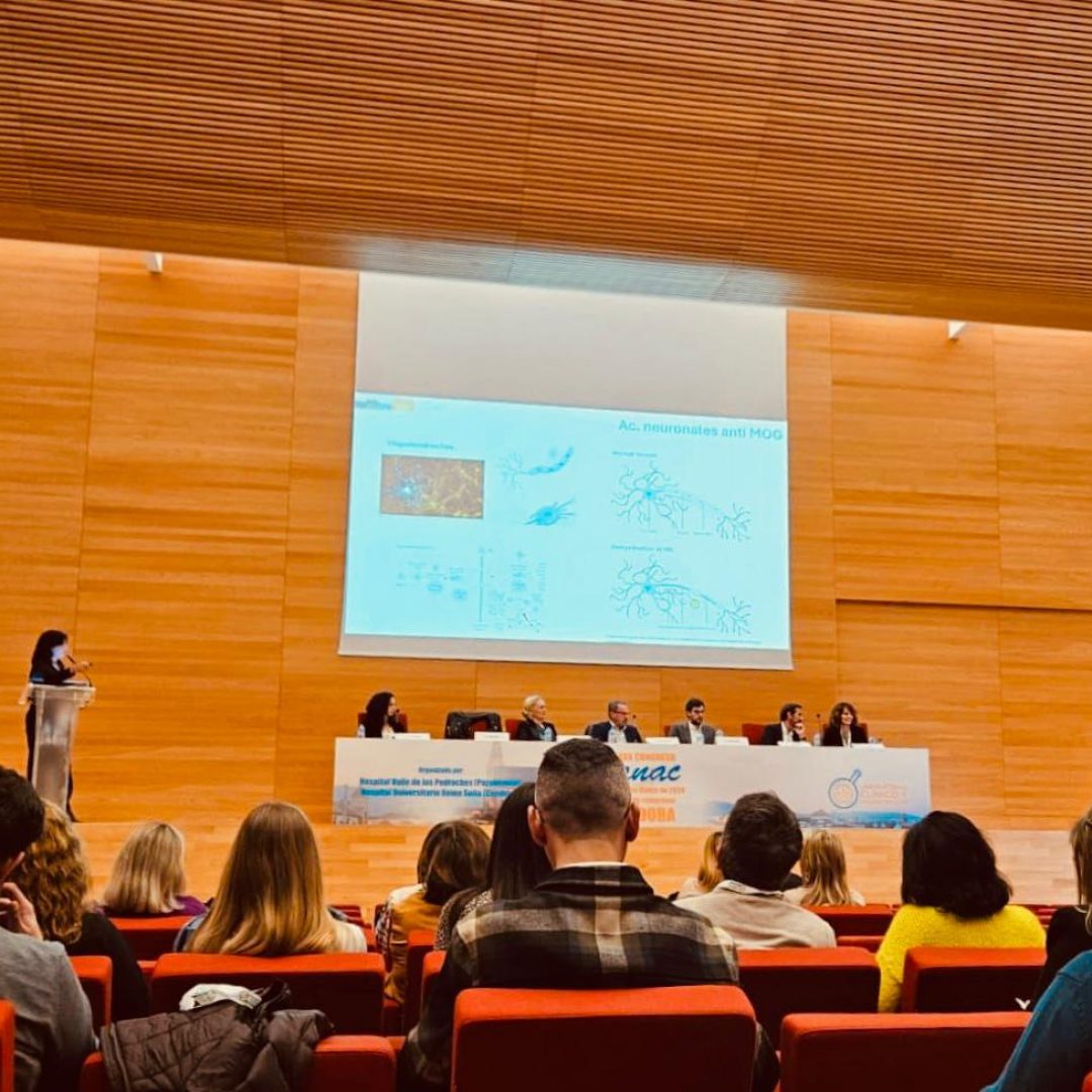 WhatsApp Image 2024-03-15 at 12.45.32