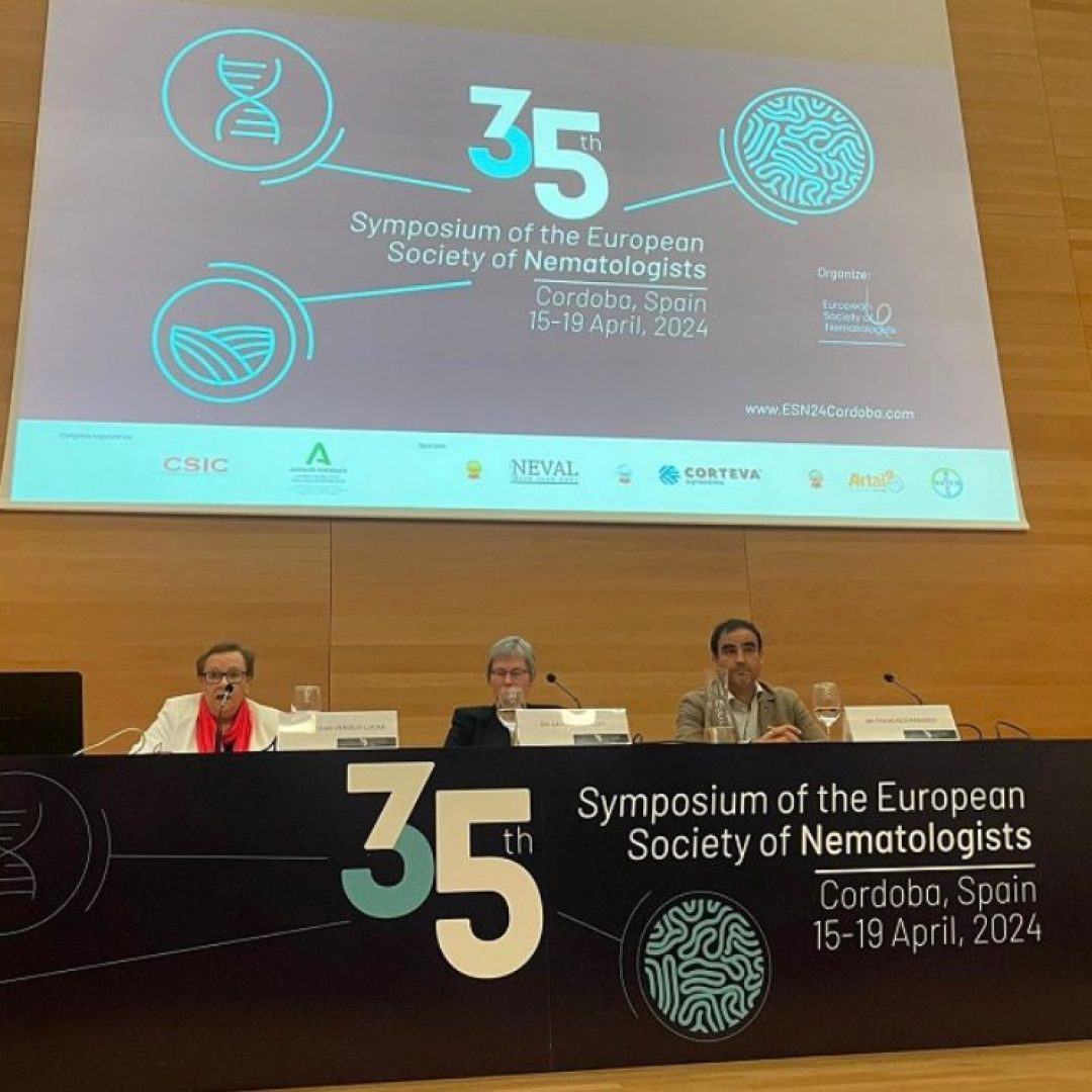 WhatsApp Image 2024-04-17 at 10.35.39