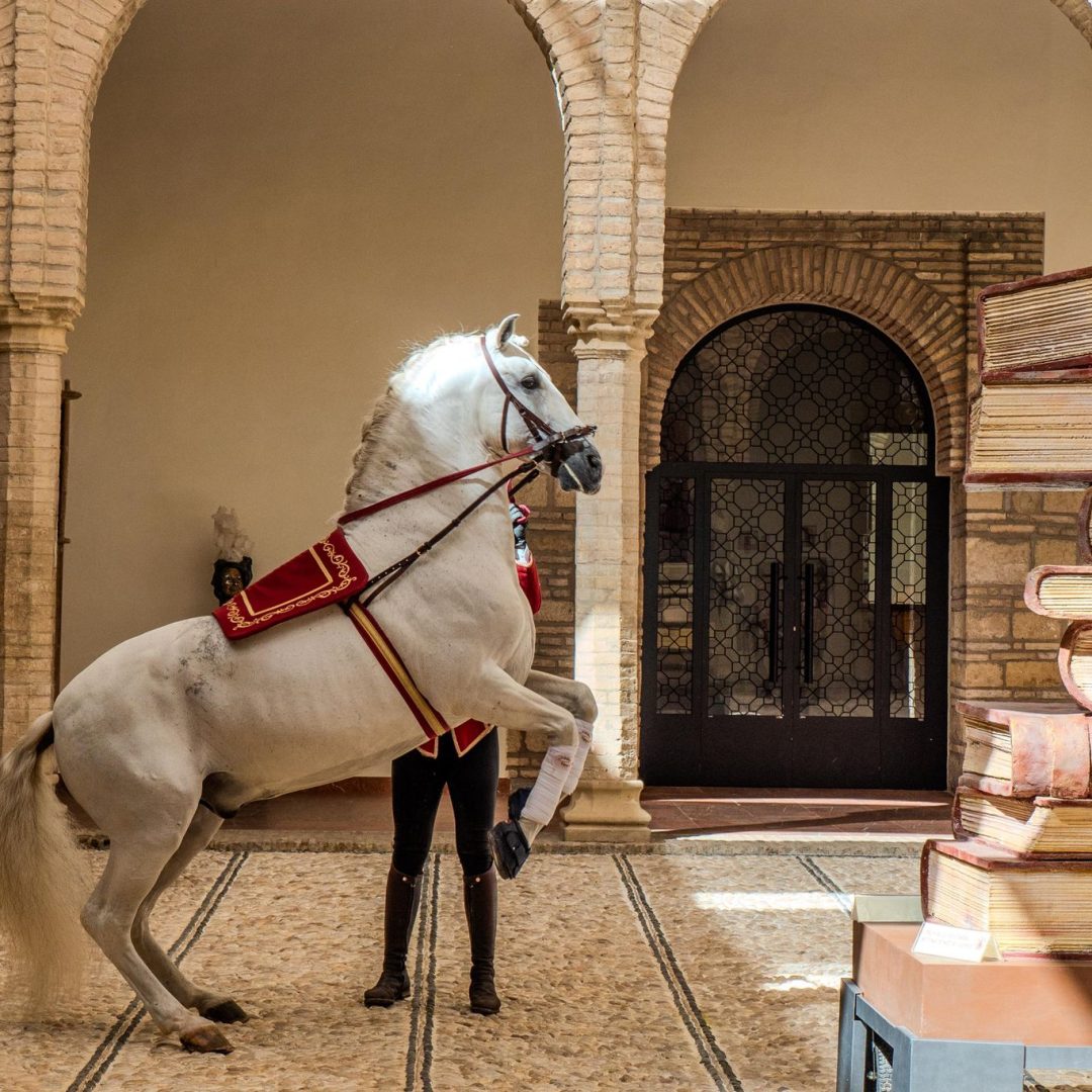 WhatsApp Image 2024-05-10 at 10.11.41