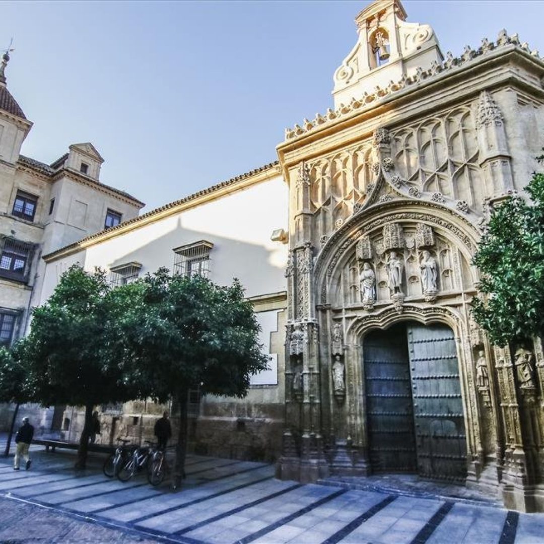 palacio-de-congresos-de-cordobaantiguo-hospital-de-san-sebastian_2fc5a273_984x656