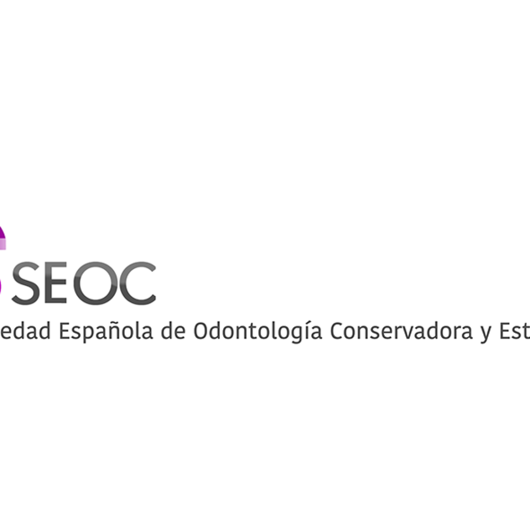 seoc logo